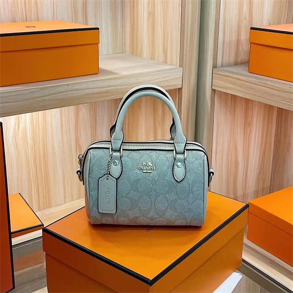 Coach small bag-0273