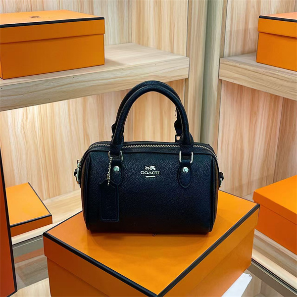 Coach small bag-0278