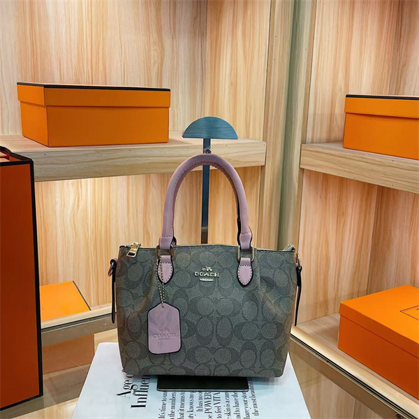 Coach small bag-0284