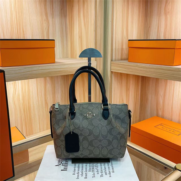 Coach small bag-0285