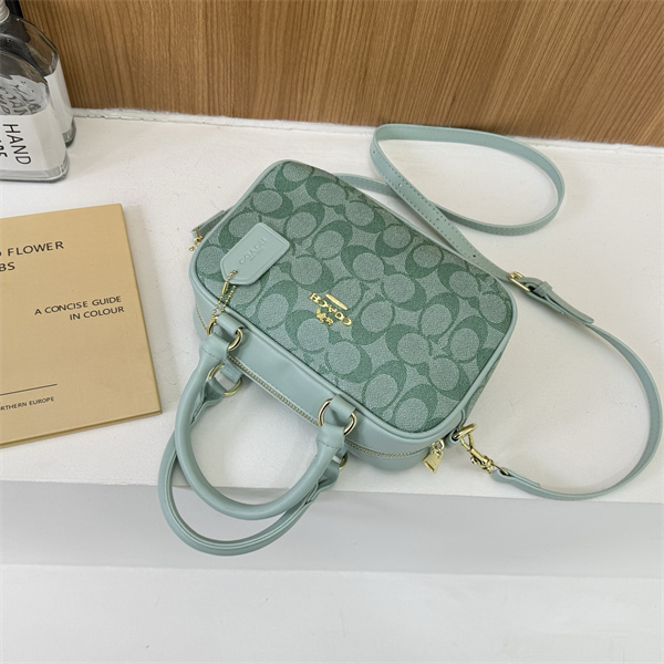 Coach small bag-0317