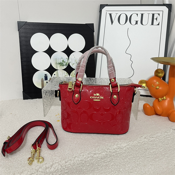 Coach small bag-0329