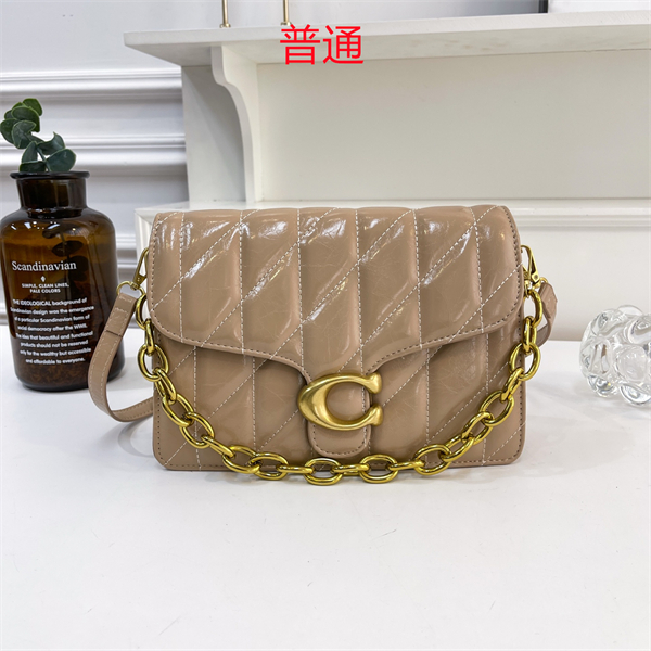 Coach small bag-0359