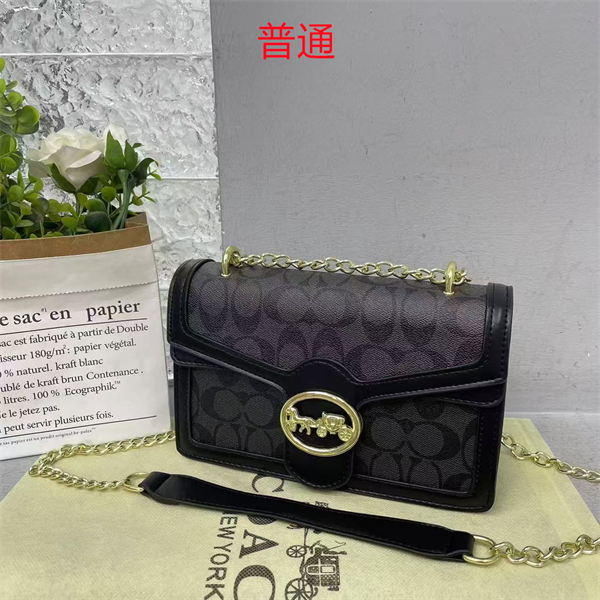 Coach small bag-0368
