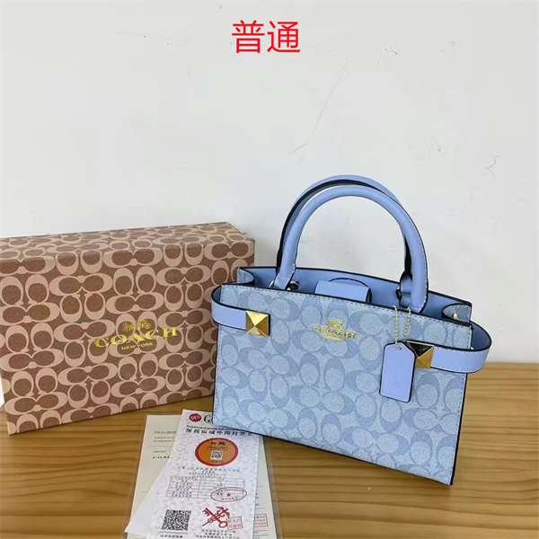 Coach small bag-0384