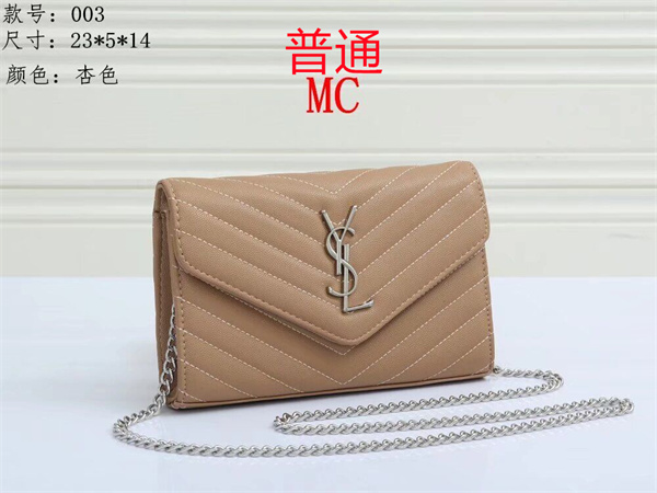 YSL small bag-0119