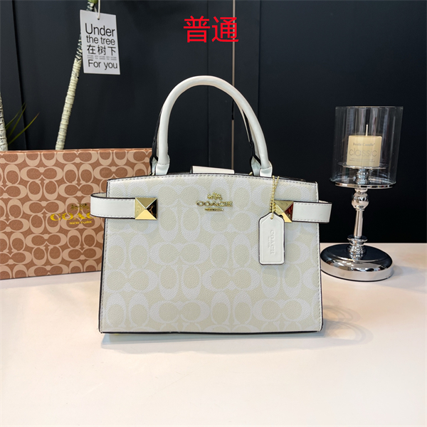 Coach small bag-0432