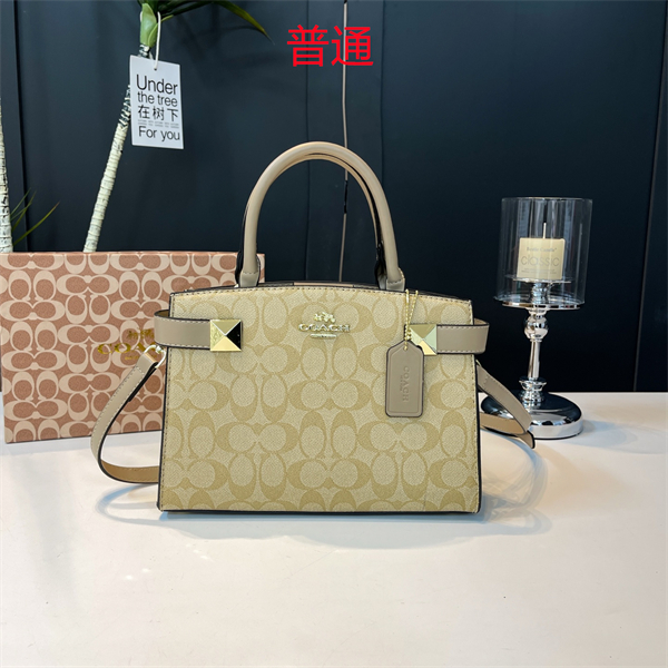 Coach small bag-0433