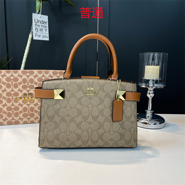 Coach small bag-0436