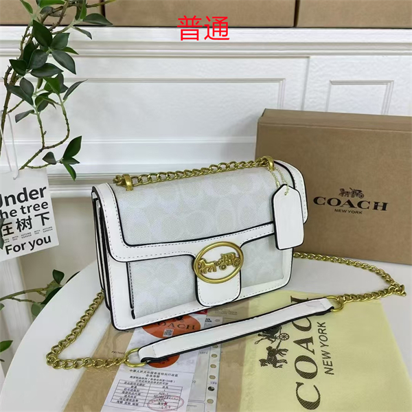 Coach small bag-0439