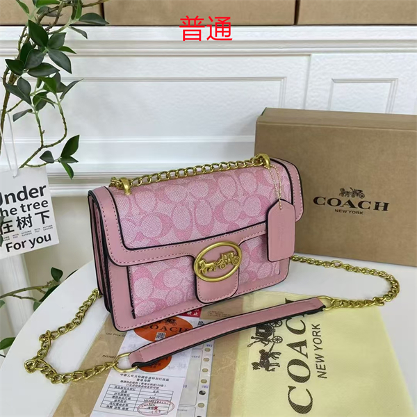 Coach small bag-0440