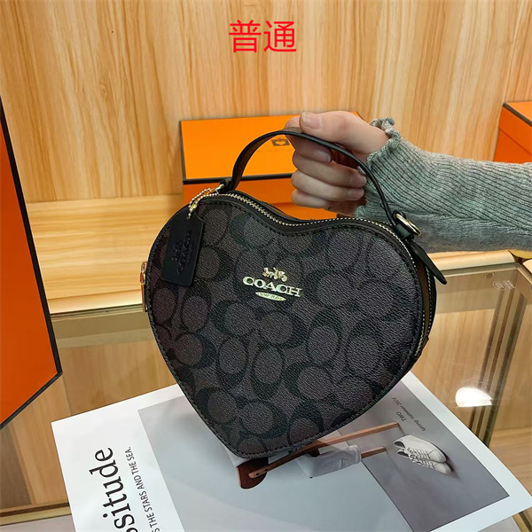Coach small bag-0445