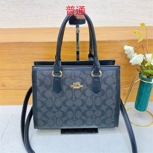 Coach small bag-0453