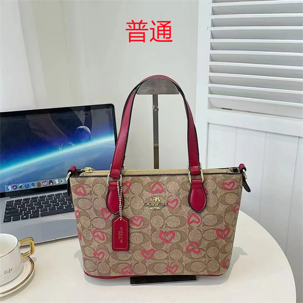 Coach small bag-0481