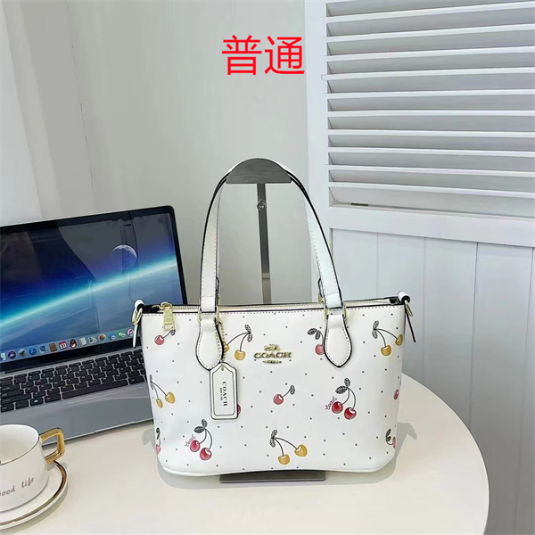 Coach small bag-0483