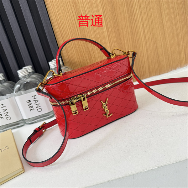 YSL small bag-0176