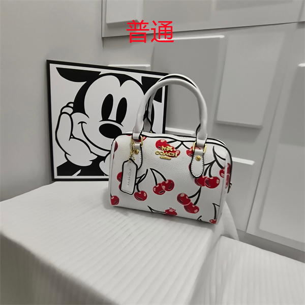 Coach small bag-0493