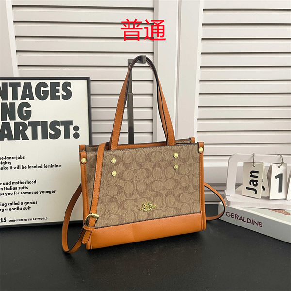 Coach small bag-0518
