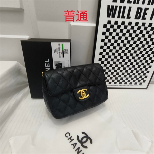 Chanel small bag-0152