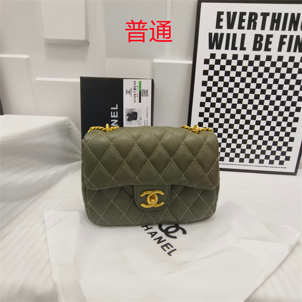 Chanel small bag-0156
