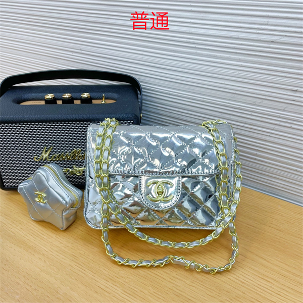 Chanel bag-0246