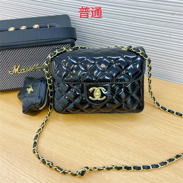Chanel bag-0248