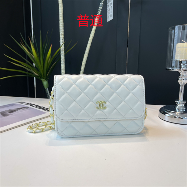 Chanel small bag-0181