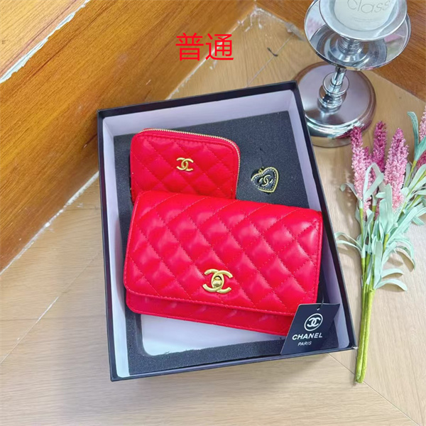 Chanel small bag-0197