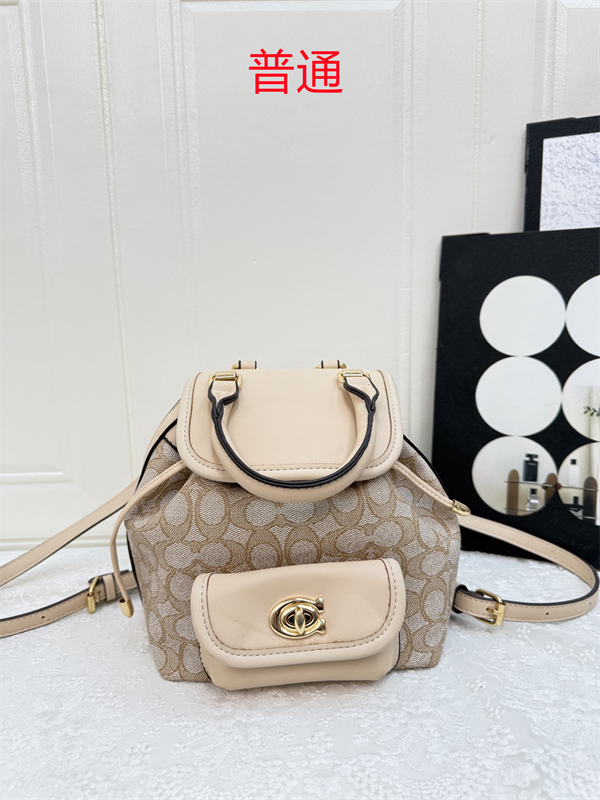 Coach small bag-0569