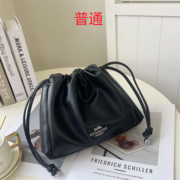 Coach small bag-0582