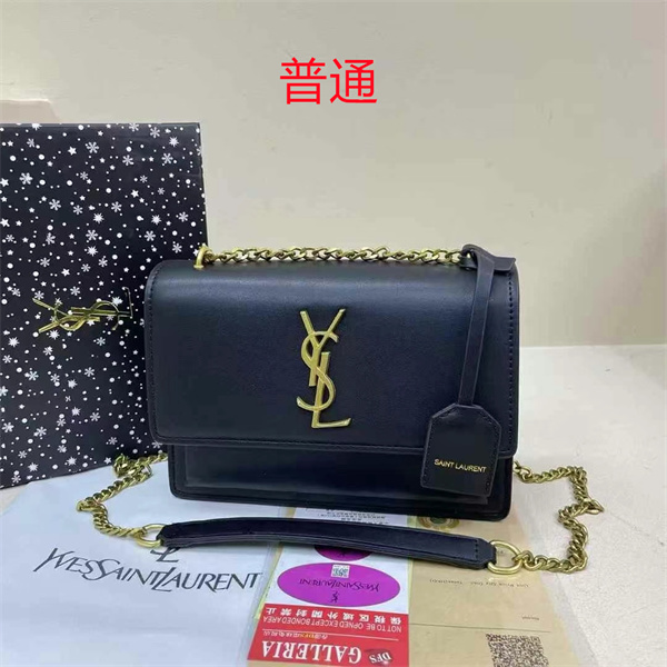 YSL small bag-0274