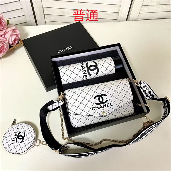 Chanel bag-0310