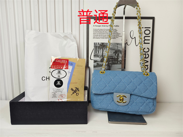 Chanel small bag-0230