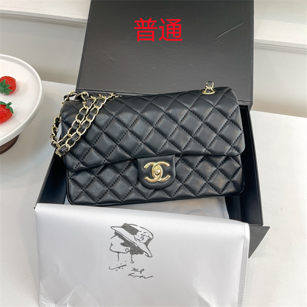 Chanel bag-0345