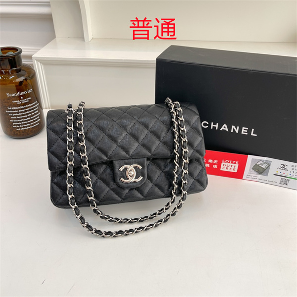 Chanel bag-0349