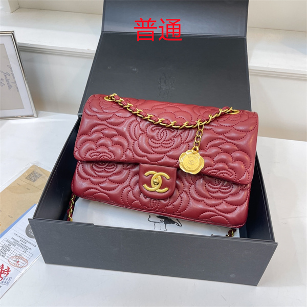 Chanel bag-0355