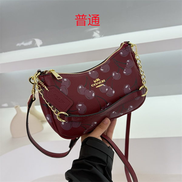 Coach small bag-0640