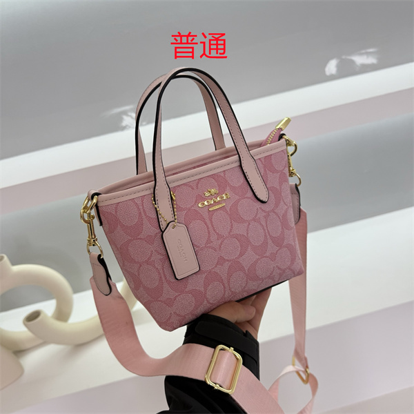 Coach small bag-0644