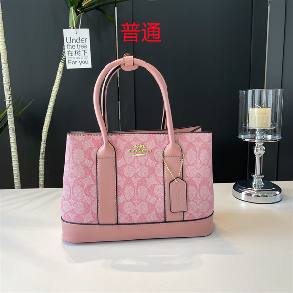 Coach small bag-0655