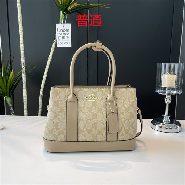 Coach small bag-0656