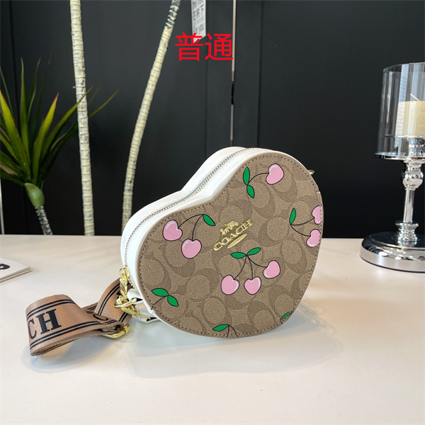 Coach small bag-0657