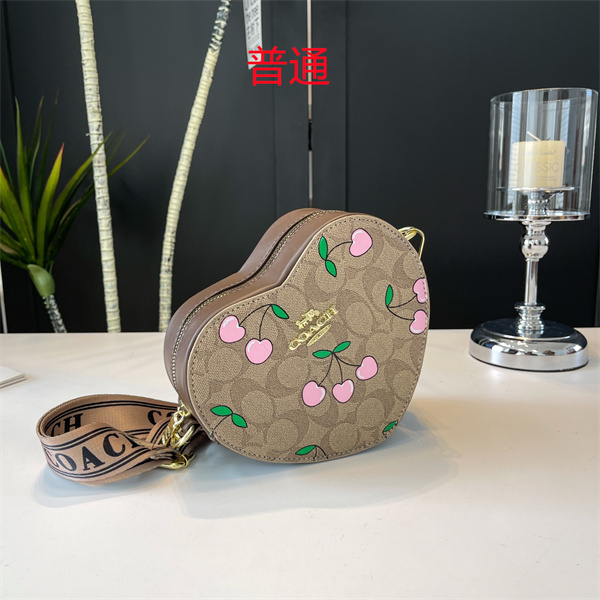 Coach small bag-0661