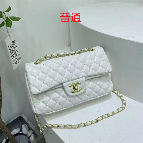 Chanel small bag-0313