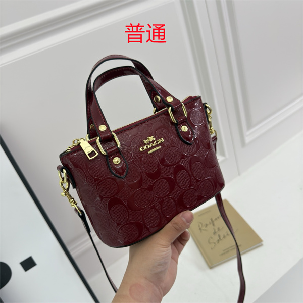 Coach small bag-0684