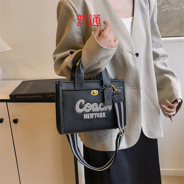 Coach small bag-0860