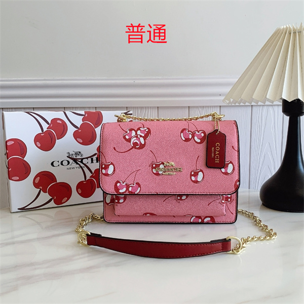 Coach small bag-0695
