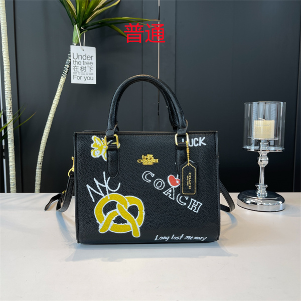 Coach small bag-0705