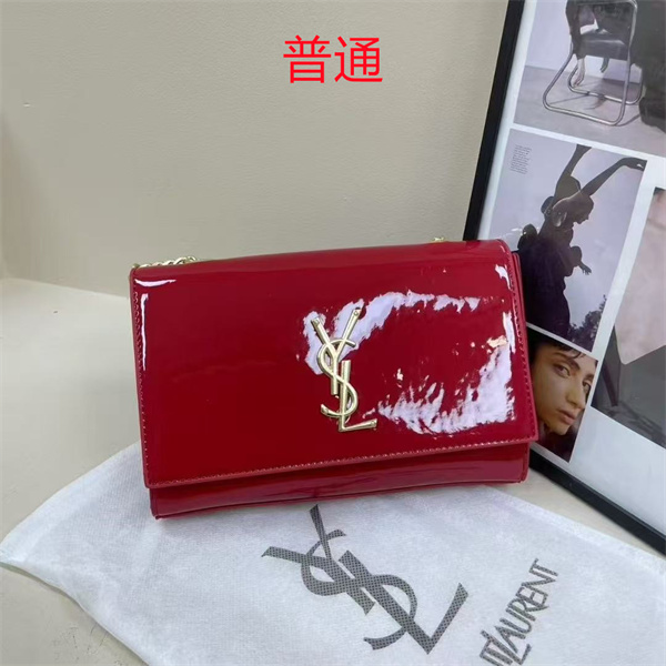 YSL small bag-0400