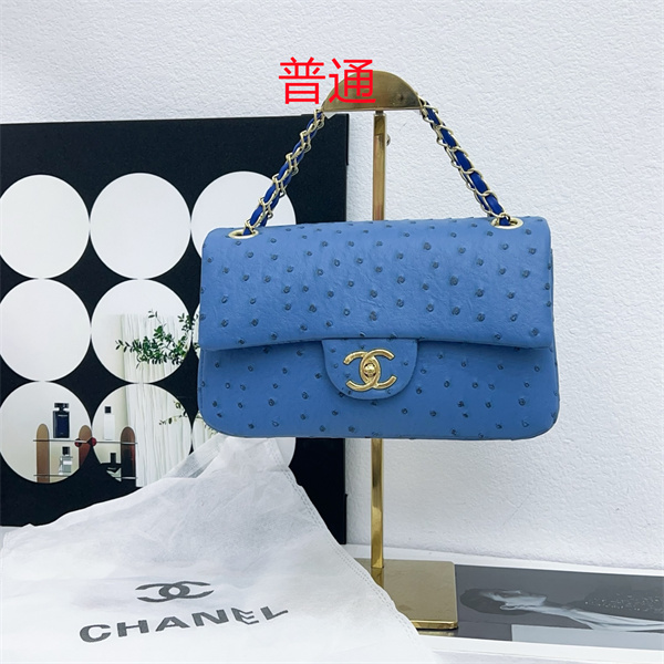 Chanel small bag-0351