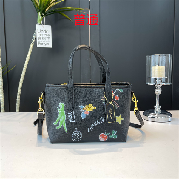 Coach small bag-0717